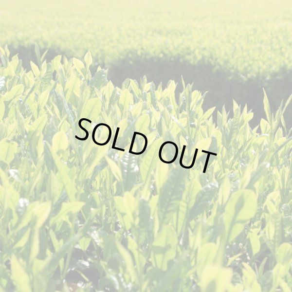 画像6: 茶月の涙  極上　80g (6)