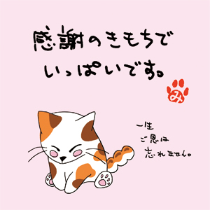 感謝の気持ちでいっぱいです 茶楽園 感謝の気持ちでいっぱいです 茶楽園